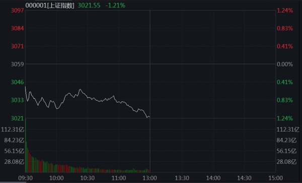 股票配资官方网站 沪指跌1.21%创年内新低 百花医药触及跌停